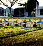 服务器攻击软件